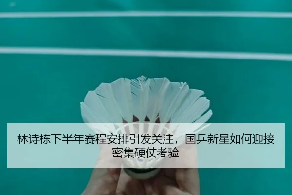 林诗栋下半年赛程安排引发关注，国乒新星如何迎接密集硬仗考验